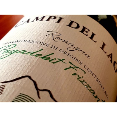 Campi del Lago Pagadebit...