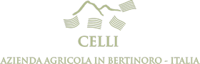 Celli Vini Shop